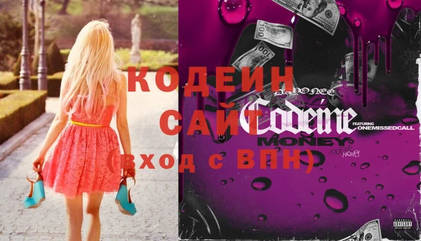 молекула духа Арсеньев