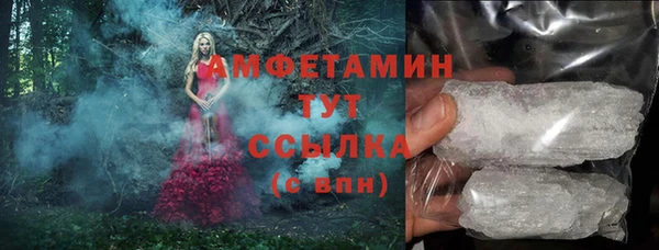 молекула духа Арсеньев
