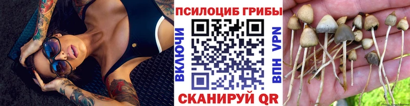 Псилоцибиновые грибы ЛСД Пустошка