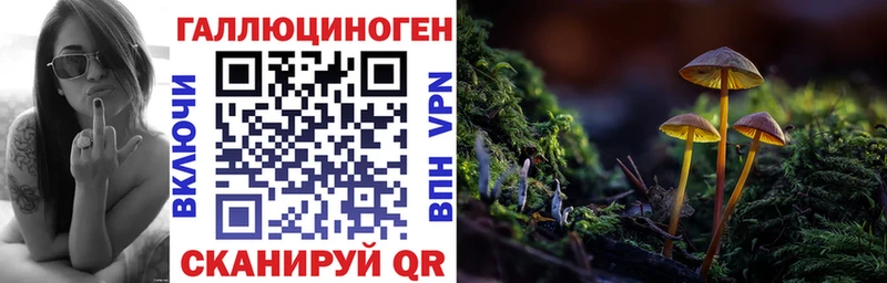 Псилоцибиновые грибы ЛСД  Пустошка 