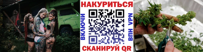 Марихуана семена  сколько стоит  mega tor  Пустошка 